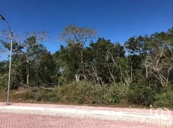 Terreno de Ciudad Maderas Caribe