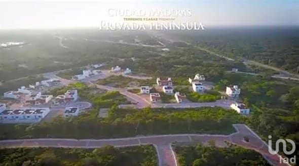 Terreno de Ciudad Maderas Caribe