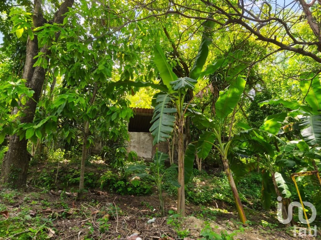 Se vende Terreno en el Platanarillo