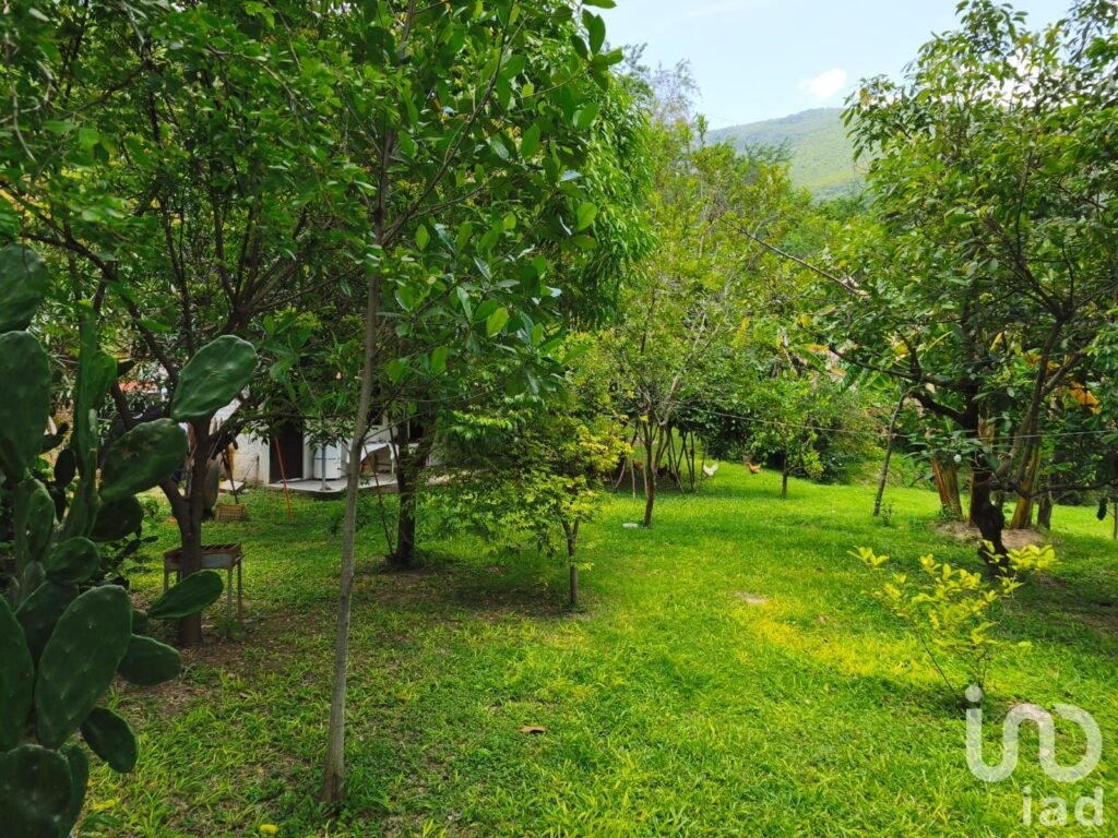 Se vende Terreno en el Platanarillo