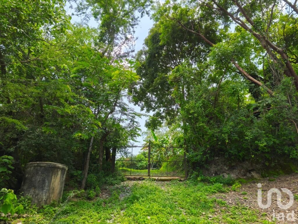 Se vende Terreno en el Platanarillo