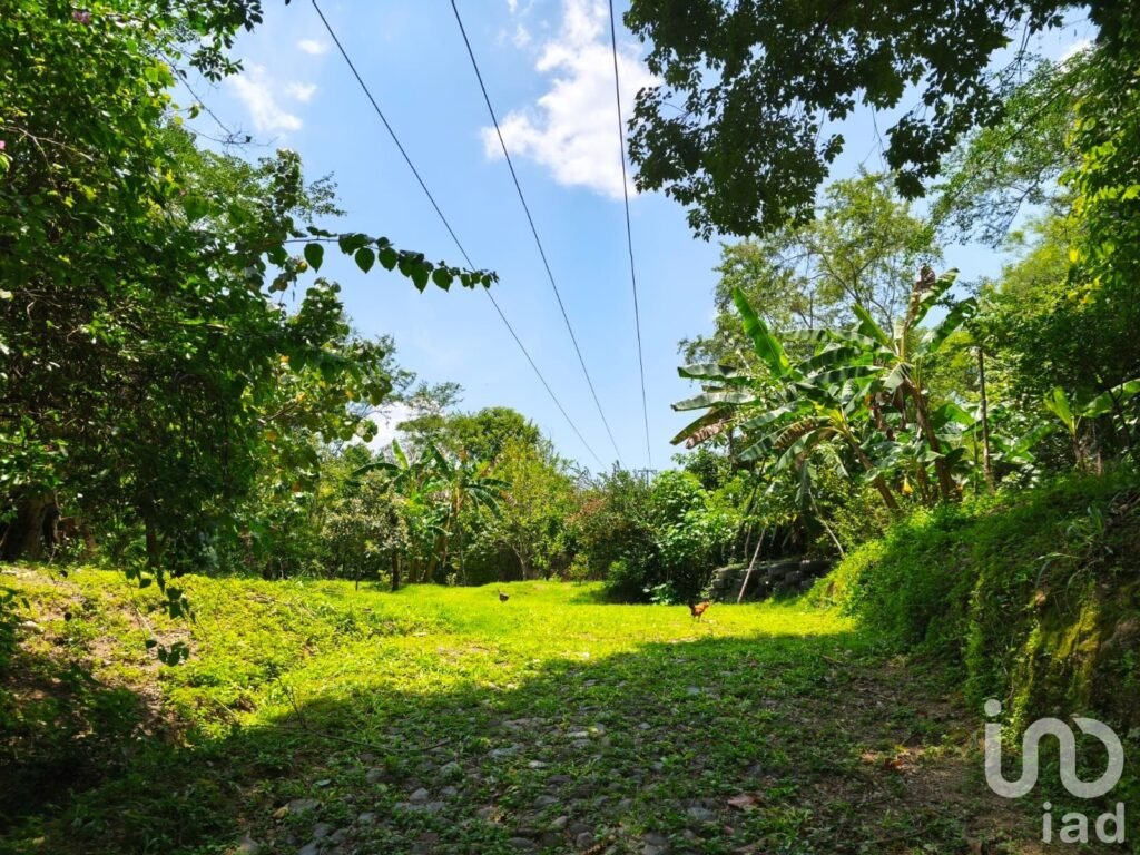 Se vende Terreno en el Platanarillo