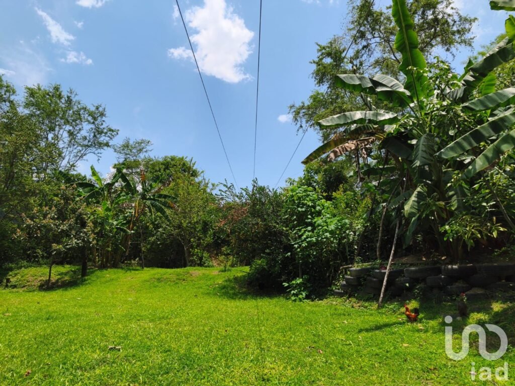 Se vende Terreno en el Platanarillo