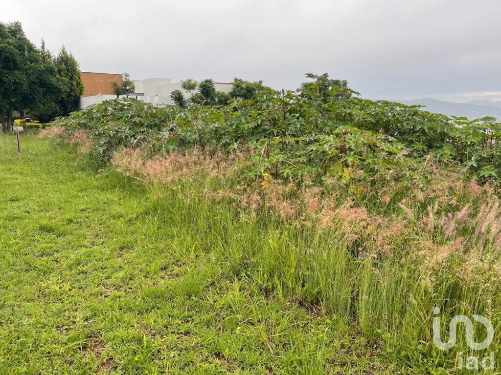 Terreno en Venta Campo de Golf Tres Marías