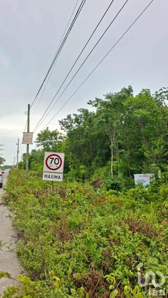 TERRENO EN VENTA SOBRE AVENIDA HUAYACAN