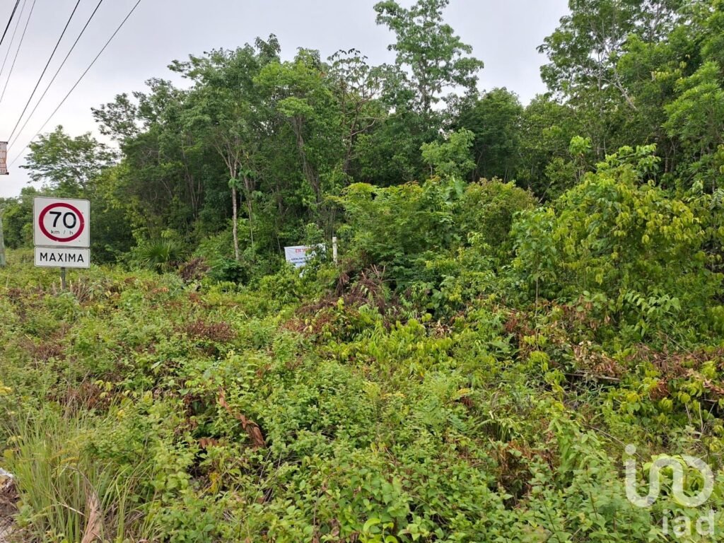 TERRENO EN VENTA SOBRE AVENIDA HUAYACAN