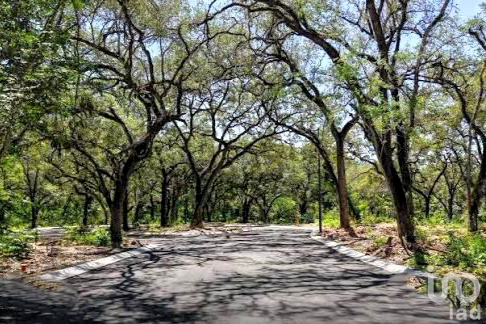 Venta de Terreno en Las Alboreas Cañadas