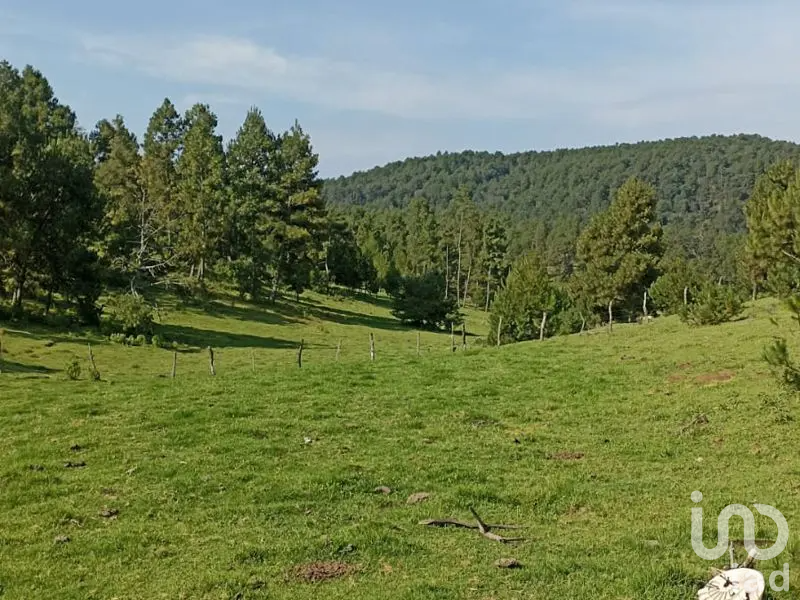 Terreno Campestre en Tapalpa