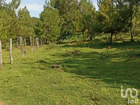 Terreno Campestre en Tapalpa