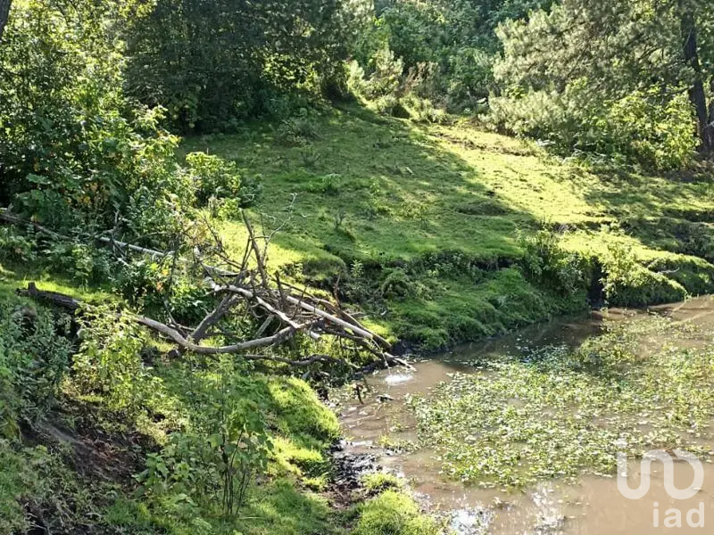 Terreno Campestre en Tapalpa