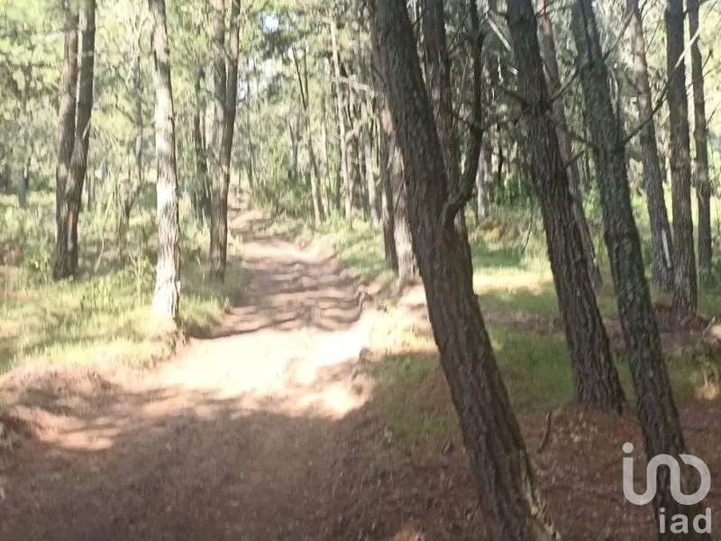 Terreno Campestre en Tapalpa