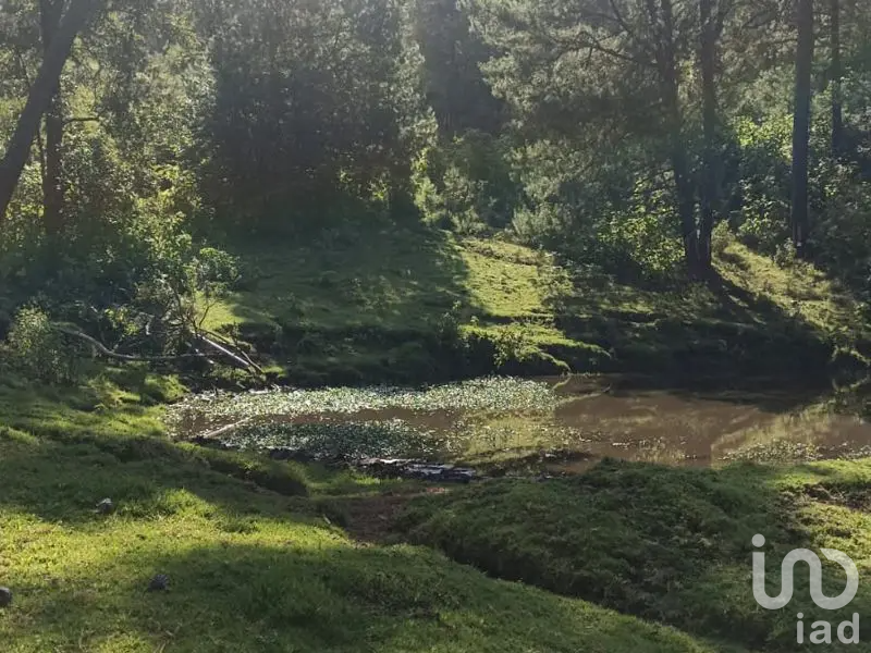 Terreno Campestre en Tapalpa