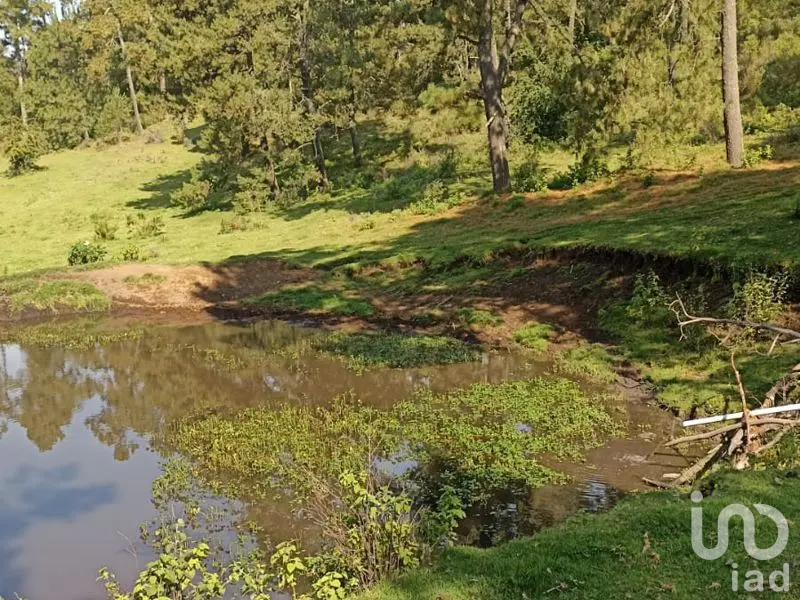 Terreno Campestre en Tapalpa