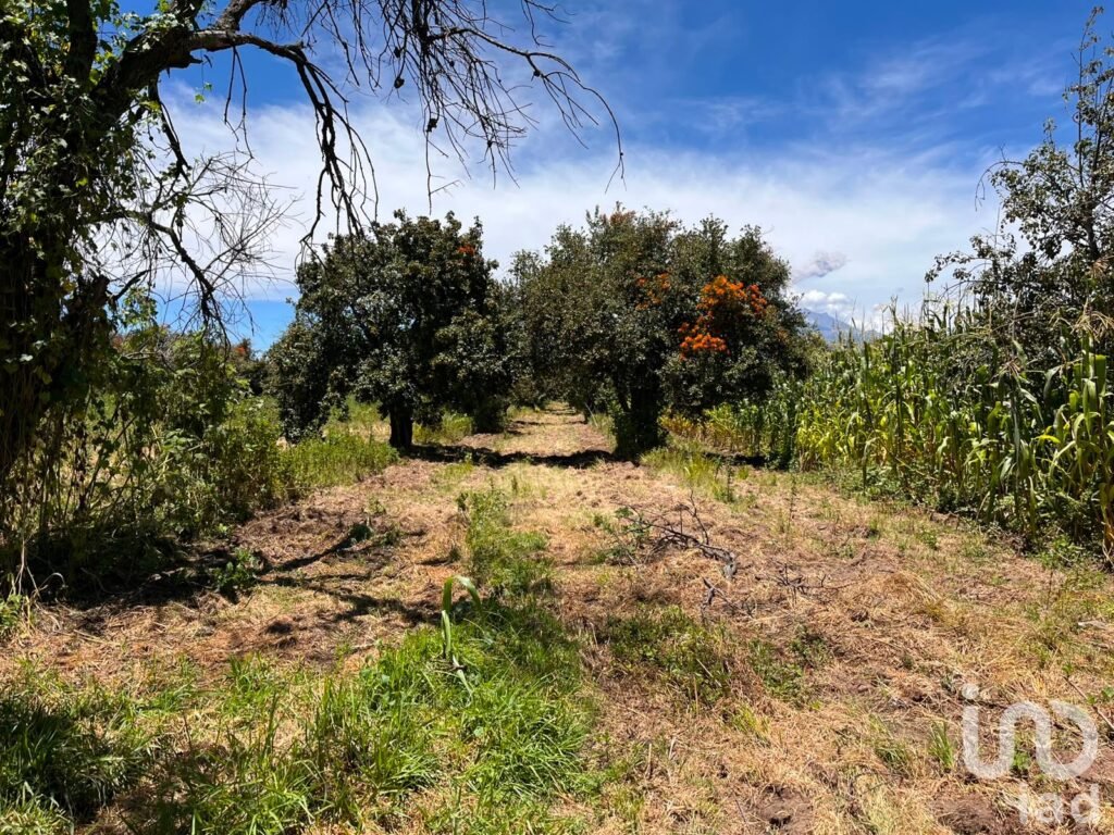 Se vende terreno en La Joya de Santiago Mextla,Huejotzingo. Excelente para fraccionamiento (3,705m2)