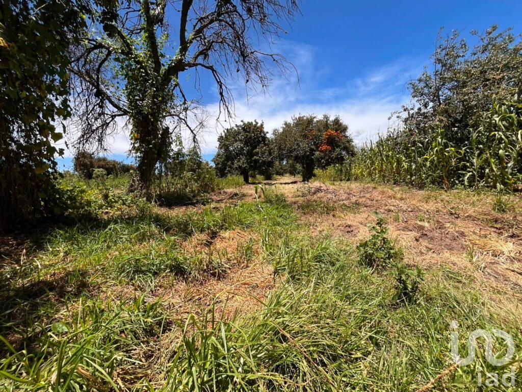 Se vende terreno en La Joya de Santiago Mextla,Huejotzingo. Excelente para fraccionamiento (3,705m2)