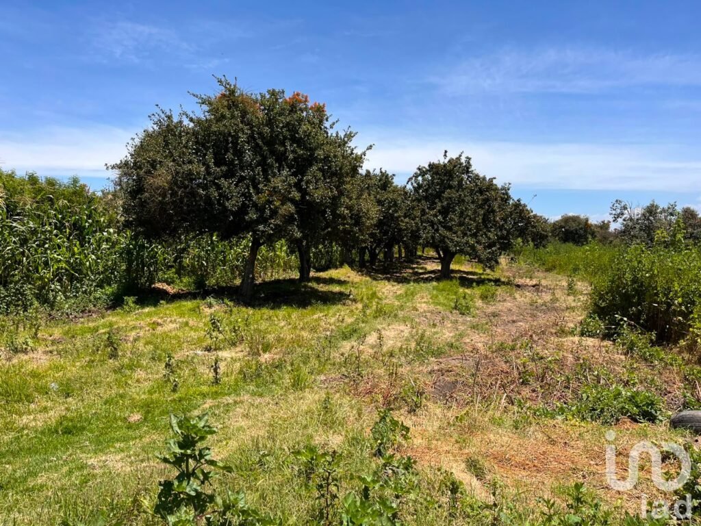 Se vende terreno en La Joya de Santiago Mextla,Huejotzingo. Excelente para fraccionamiento (3,705m2)