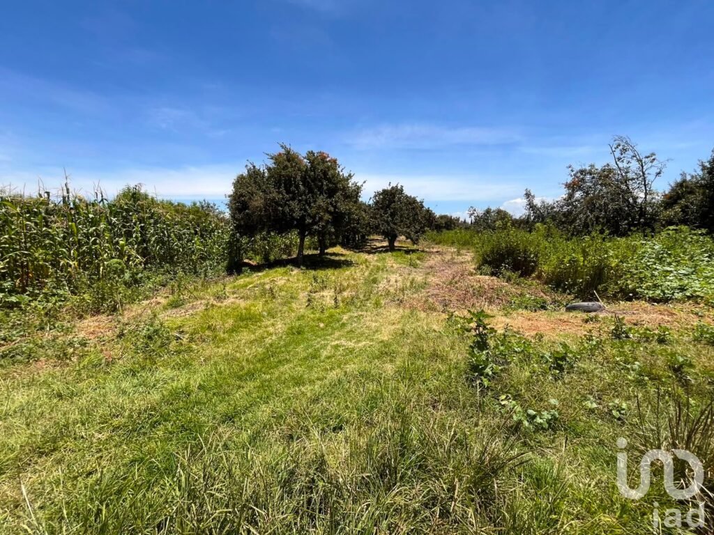 Se vende terreno en La Joya de Santiago Mextla,Huejotzingo. Excelente para fraccionamiento (3,705m2)