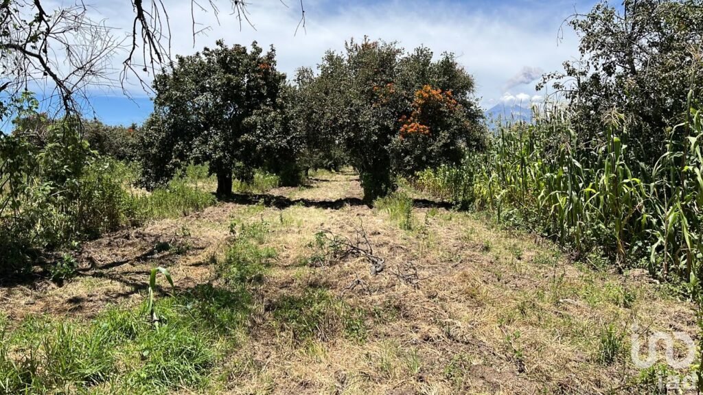 Se vende terreno en La Joya de Santiago Mextla,Huejotzingo. Excelente para fraccionamiento (3,705m2)