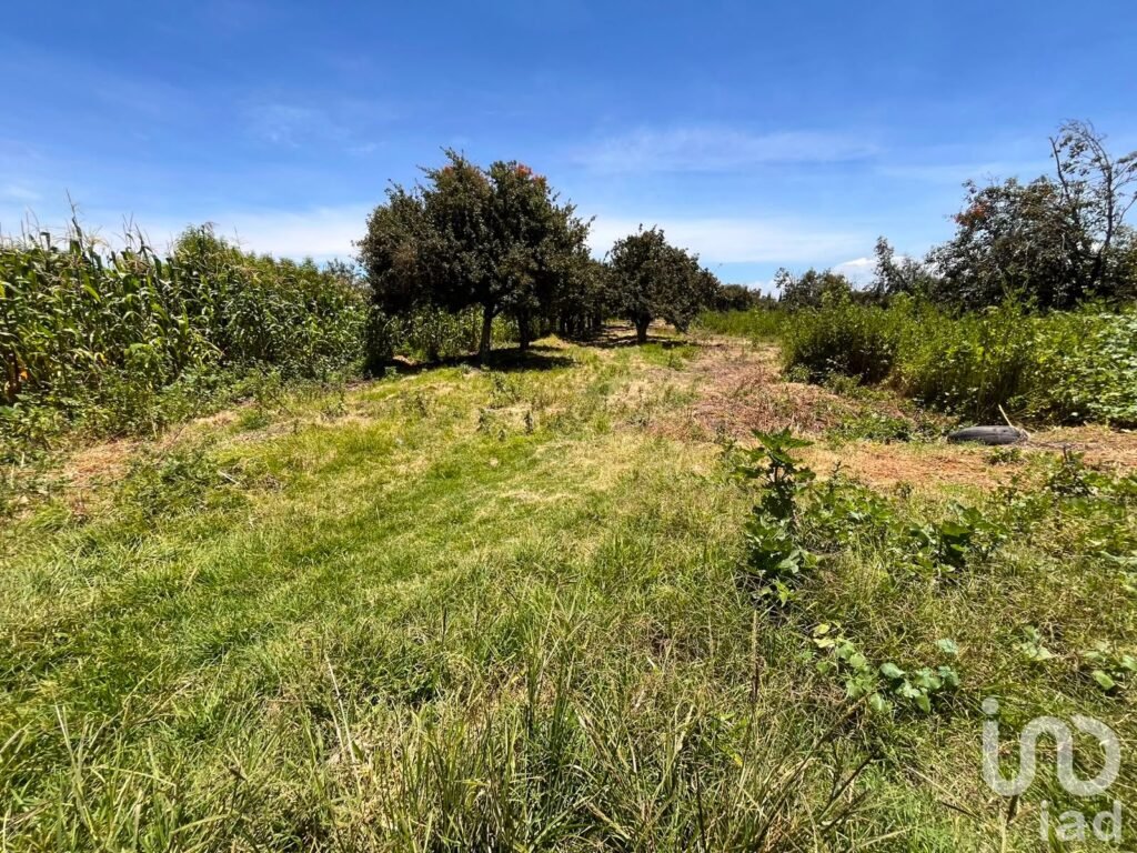 Se vende terreno en La Joya de Santiago Mextla,Huejotzingo. Excelente para fraccionamiento (3,705m2)