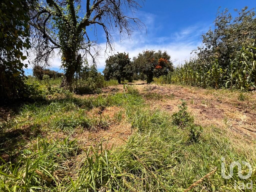Se vende terreno en La Joya de Santiago Mextla,Huejotzingo. Excelente para fraccionamiento (3,705m2)