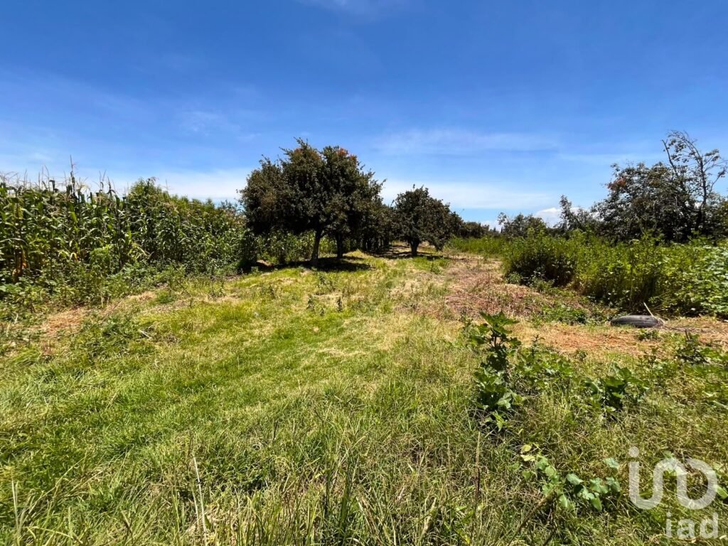 Se vende terreno en La Joya de Santiago Mextla,Huejotzingo. Excelente para fraccionamiento (3,705m2)