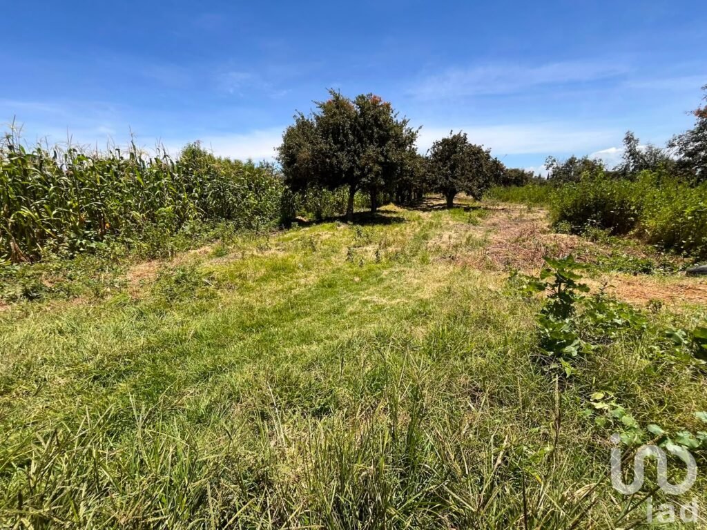 Se vende terreno en La Joya de Santiago Mextla,Huejotzingo. Excelente para fraccionamiento (3,705m2)