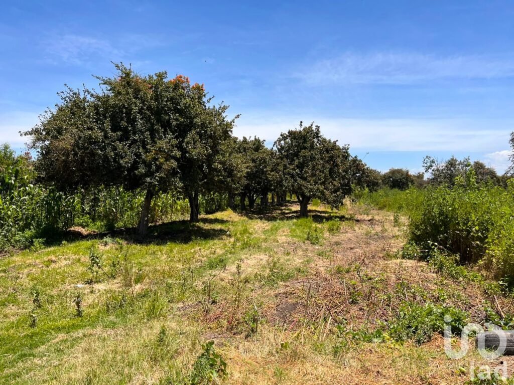Se vende terreno en La Joya de Santiago Mextla,Huejotzingo. Excelente para fraccionamiento (3,705m2)