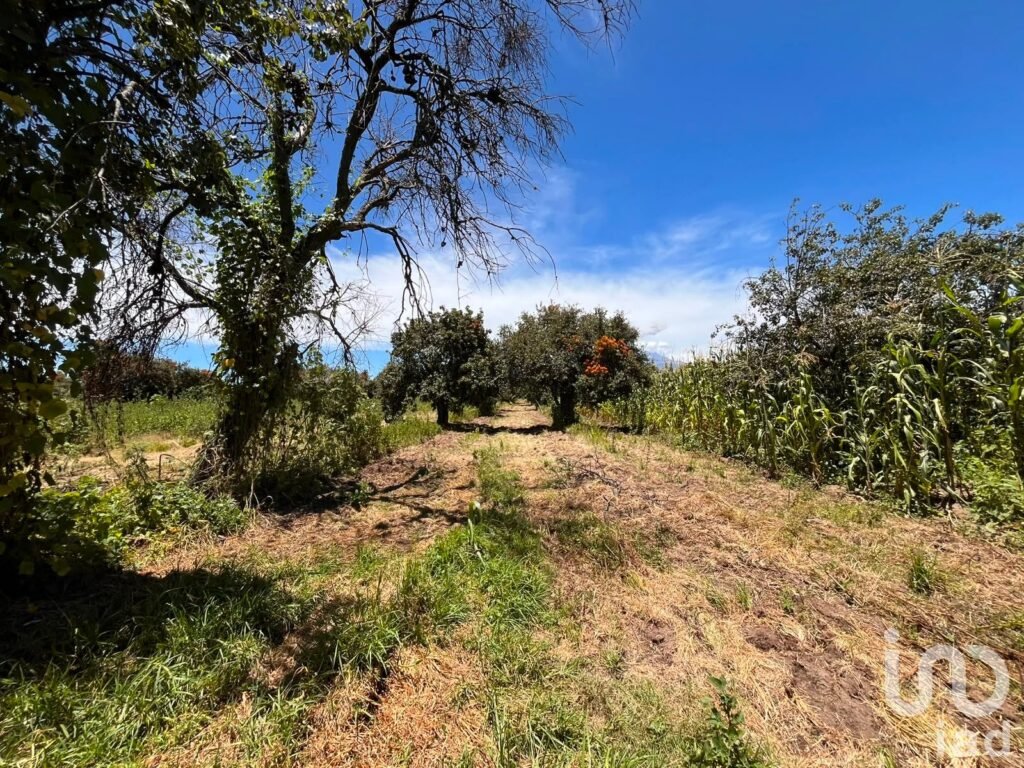 Se vende terreno en La Joya de Santiago Mextla,Huejotzingo. Excelente para fraccionamiento (3,705m2)
