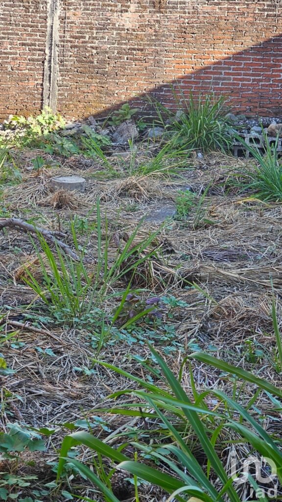 Oportunidad Terreno en Venta, Acapatzingo, Cuernavaca