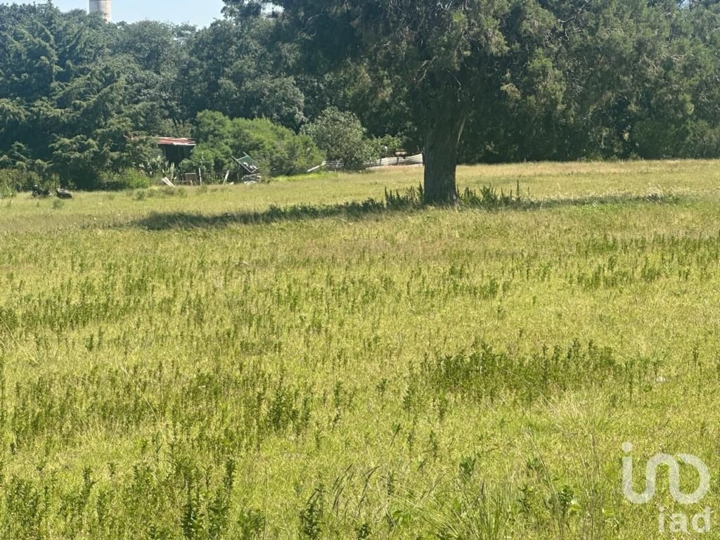 Venta de terreno en Amozoc