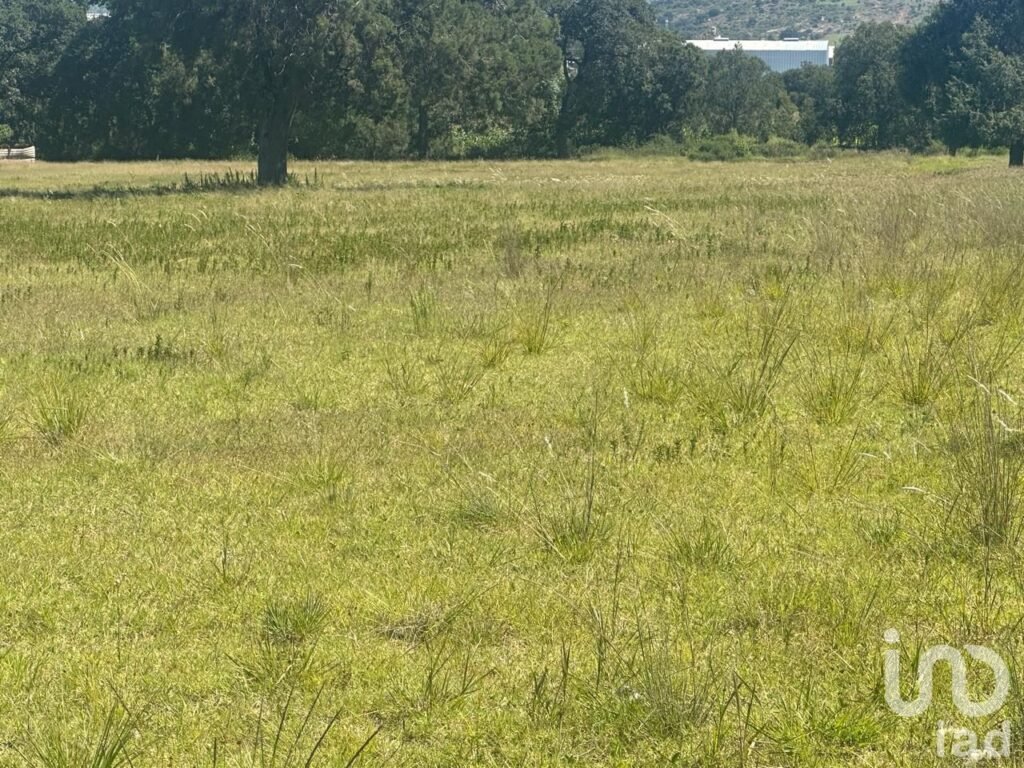 Venta de terreno en Amozoc