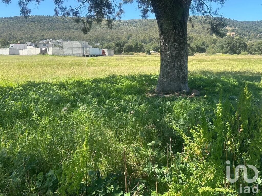 Venta de terreno en Amozoc