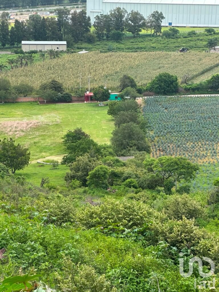 SE VENDEN 6 HECTAREAS EN LA ENTRADA DEL PUEBLO DE SAN IGNACIO DE CARBONERAS EN TALA JALISCO