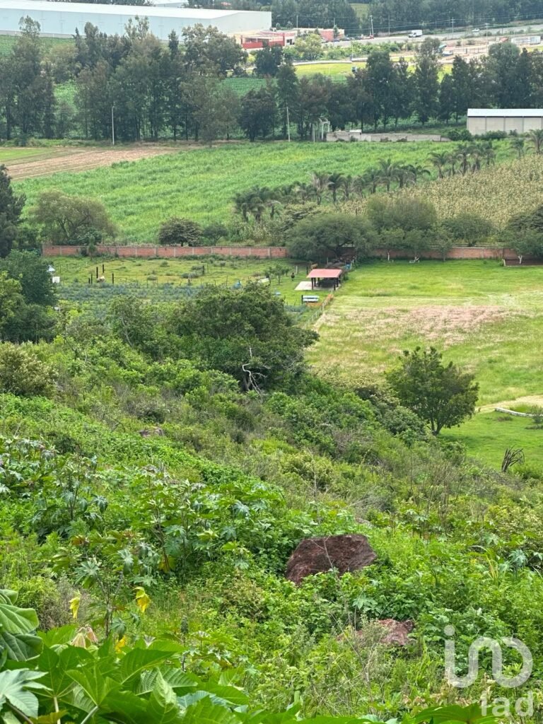 SE VENDEN 6 HECTAREAS EN LA ENTRADA DEL PUEBLO DE SAN IGNACIO DE CARBONERAS EN TALA JALISCO