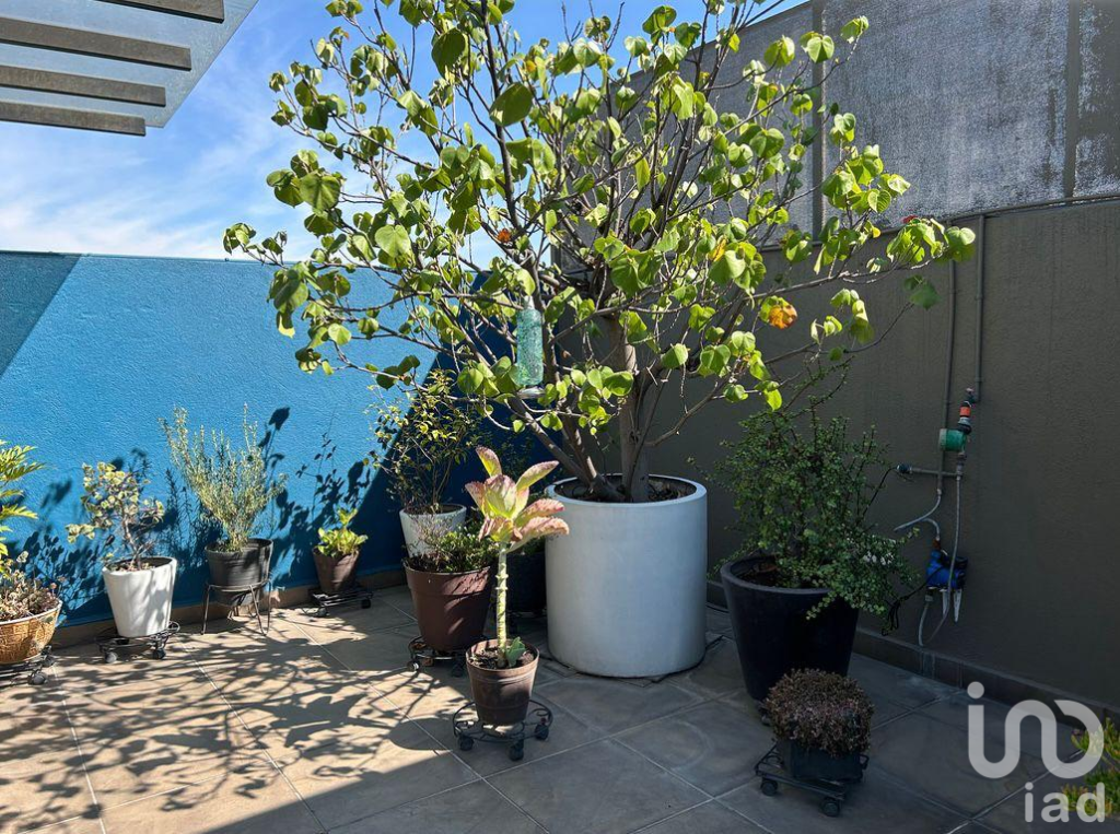 DEPARTAMENTO EN VENTA EN LA COL DEL VALLE