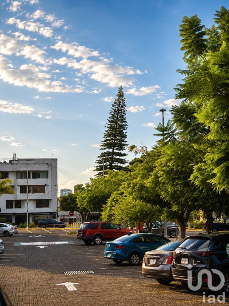 LOCAL COMERCIAL EN PLAZA UNIVERSIDAD