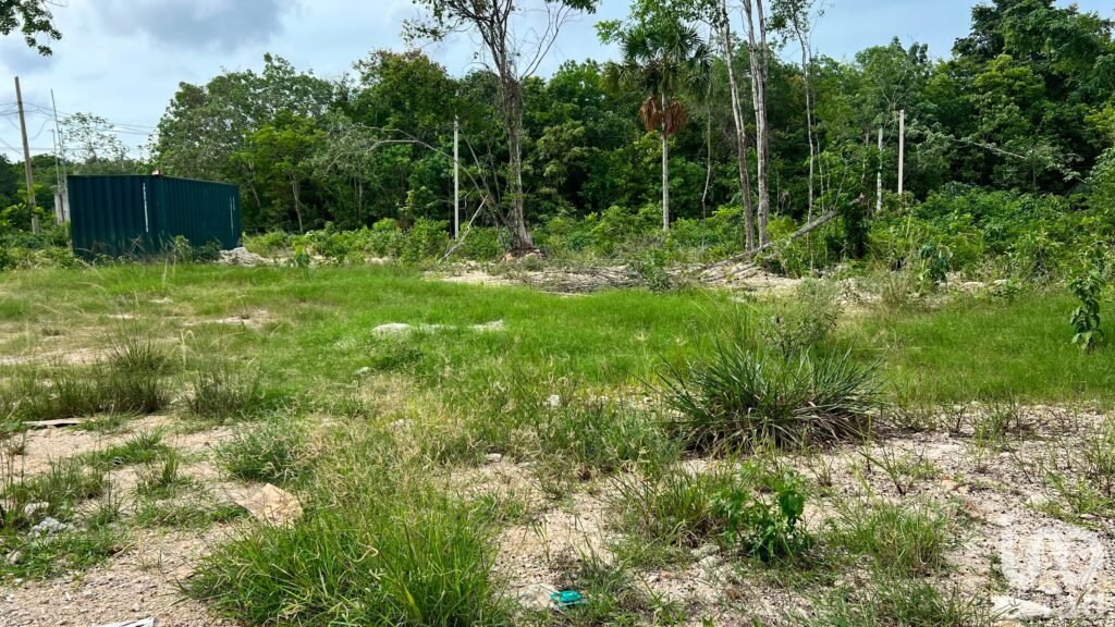 TERRENO EN VENTA EN SUPERMANZANA 313