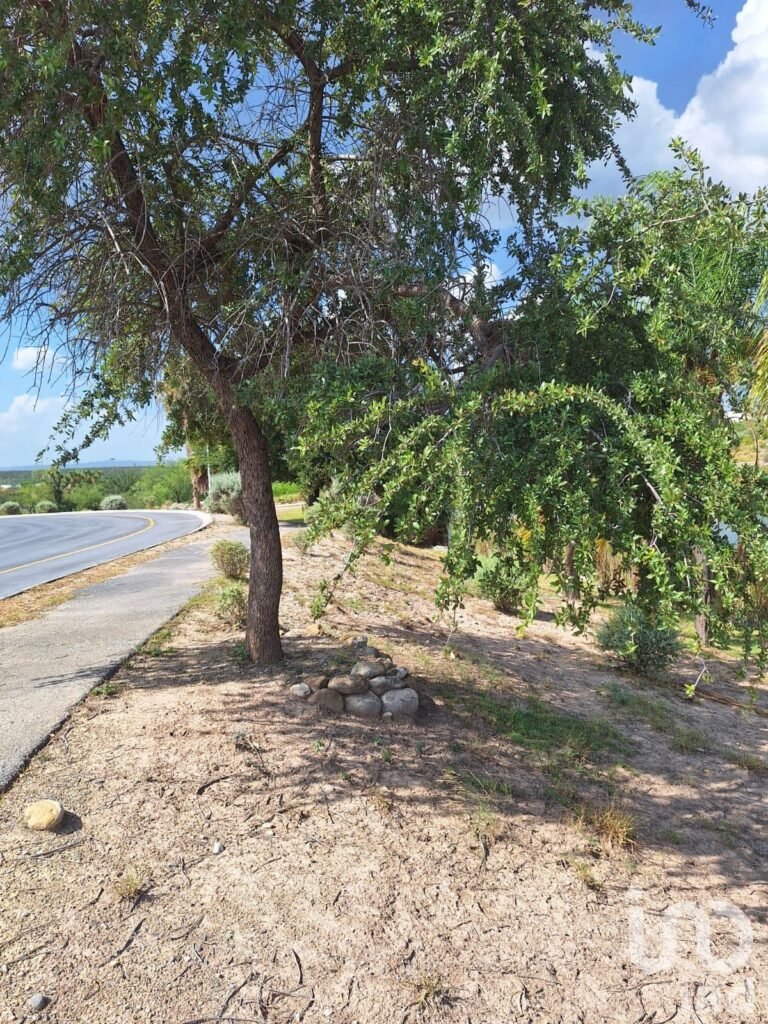 TERRENO EN VENTA EN COLONIA HACIENDA SAN PEDRO EN ZUAZUZA NUEVO LEON