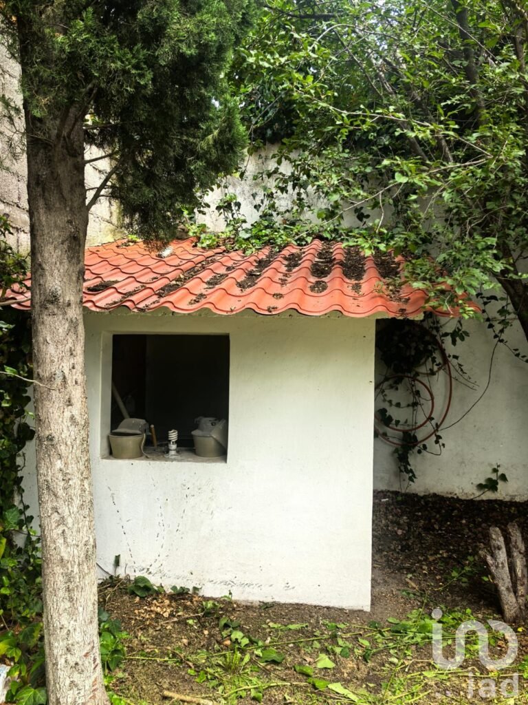 Casa en Renta con Amplio Jardín Uso Mixto en Pachuca