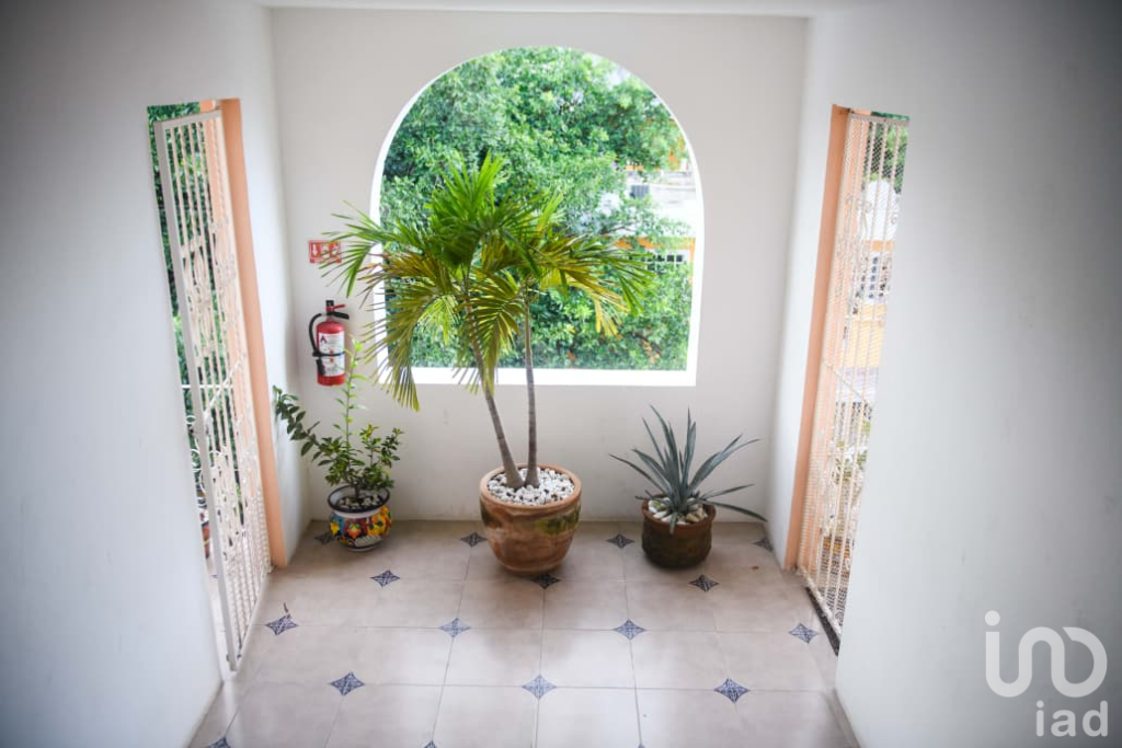 Departamento 48m2, zona turística Playa del Carmen, QR, 1Recamara, amueblado. Col. Gonzalo Guerrero