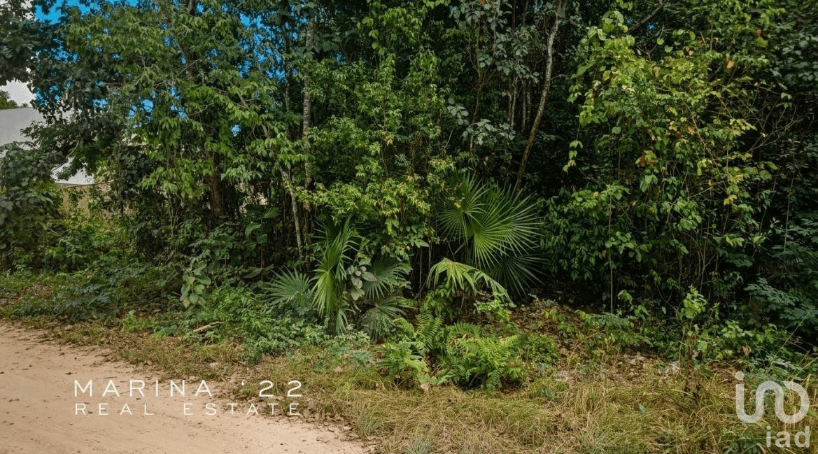 TERRENO EN VENTA ZONA HUAYACÁN, CANCÚN, QUINTANA ROO