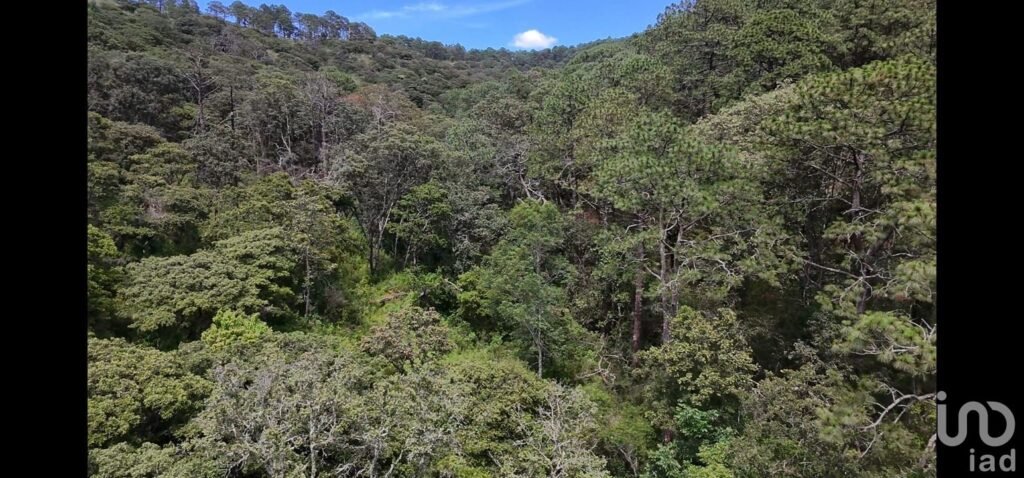 Terreno en venta en Tapalpa a unos metros del Centro