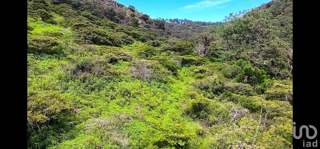 Terreno en venta en Tapalpa a unos metros del Centro