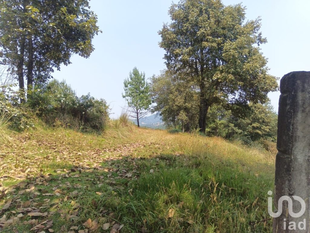 TERRENO EN VENTA EN HIDALGO COL LOS REYES