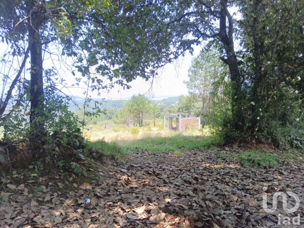 TERRENO EN VENTA EN HIDALGO COL LOS REYES