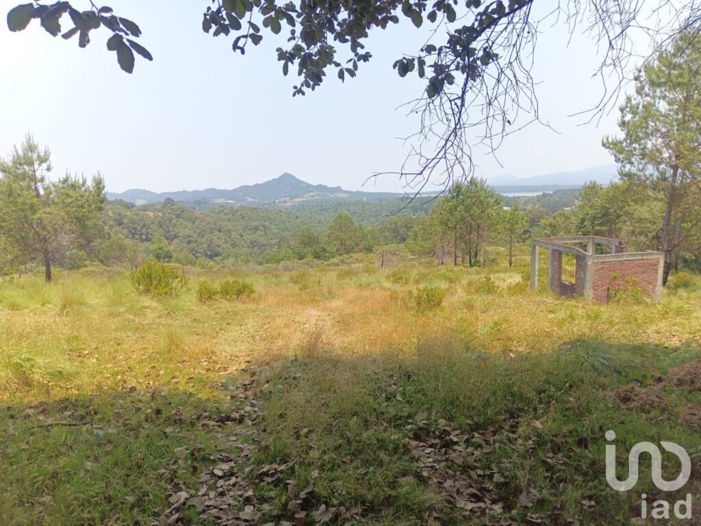 TERRENO EN VENTA EN HIDALGO COL LOS REYES