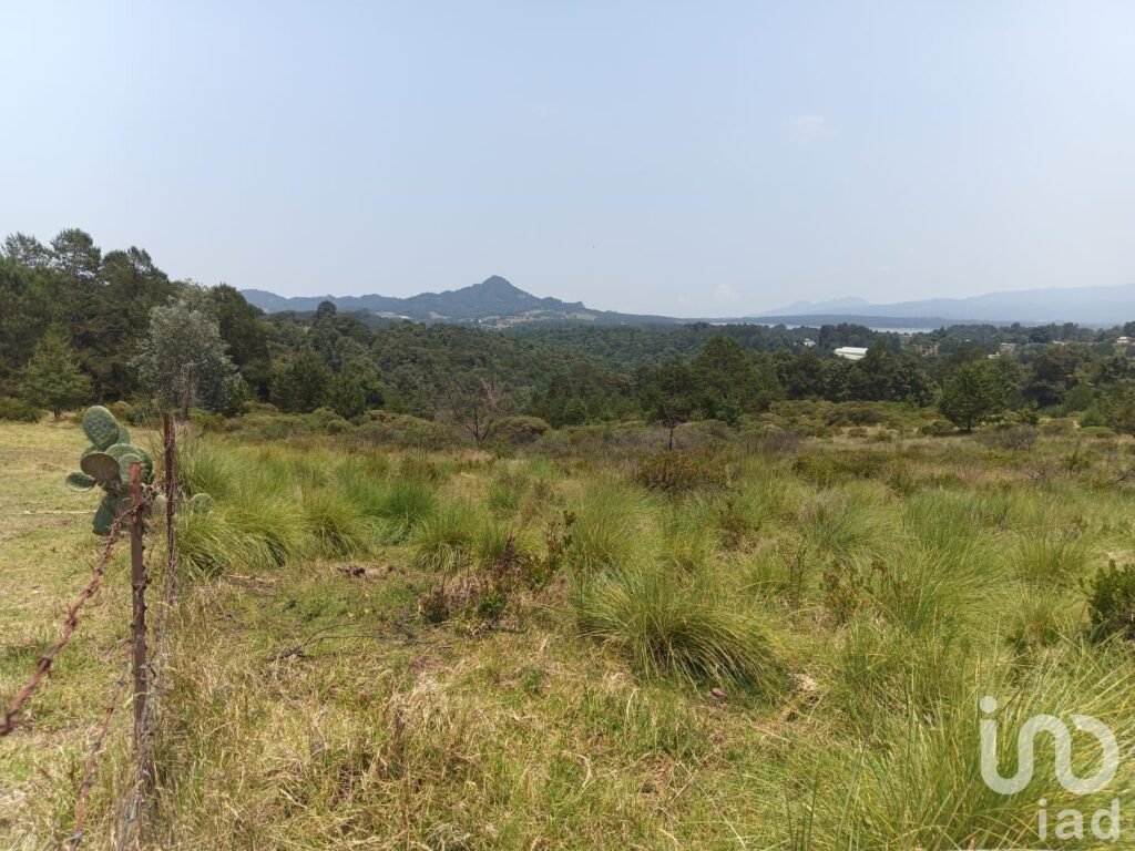 TERRENO EN VENTA EN HIDALGO COL LOS REYES