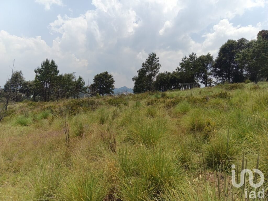 TERRENO EN VENTA EN HIDALGO COL LOS REYES