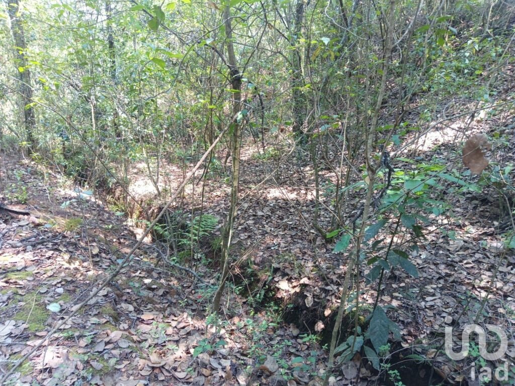TERRENO EN VENTA EN HIDALGO COL LOS REYES