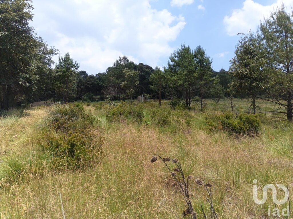 TERRENO EN VENTA EN HIDALGO COL LOS REYES